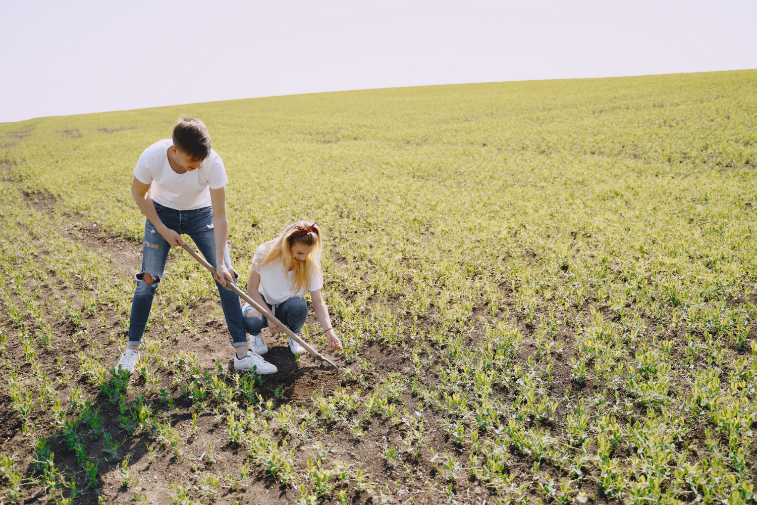 Pareja arando el campo